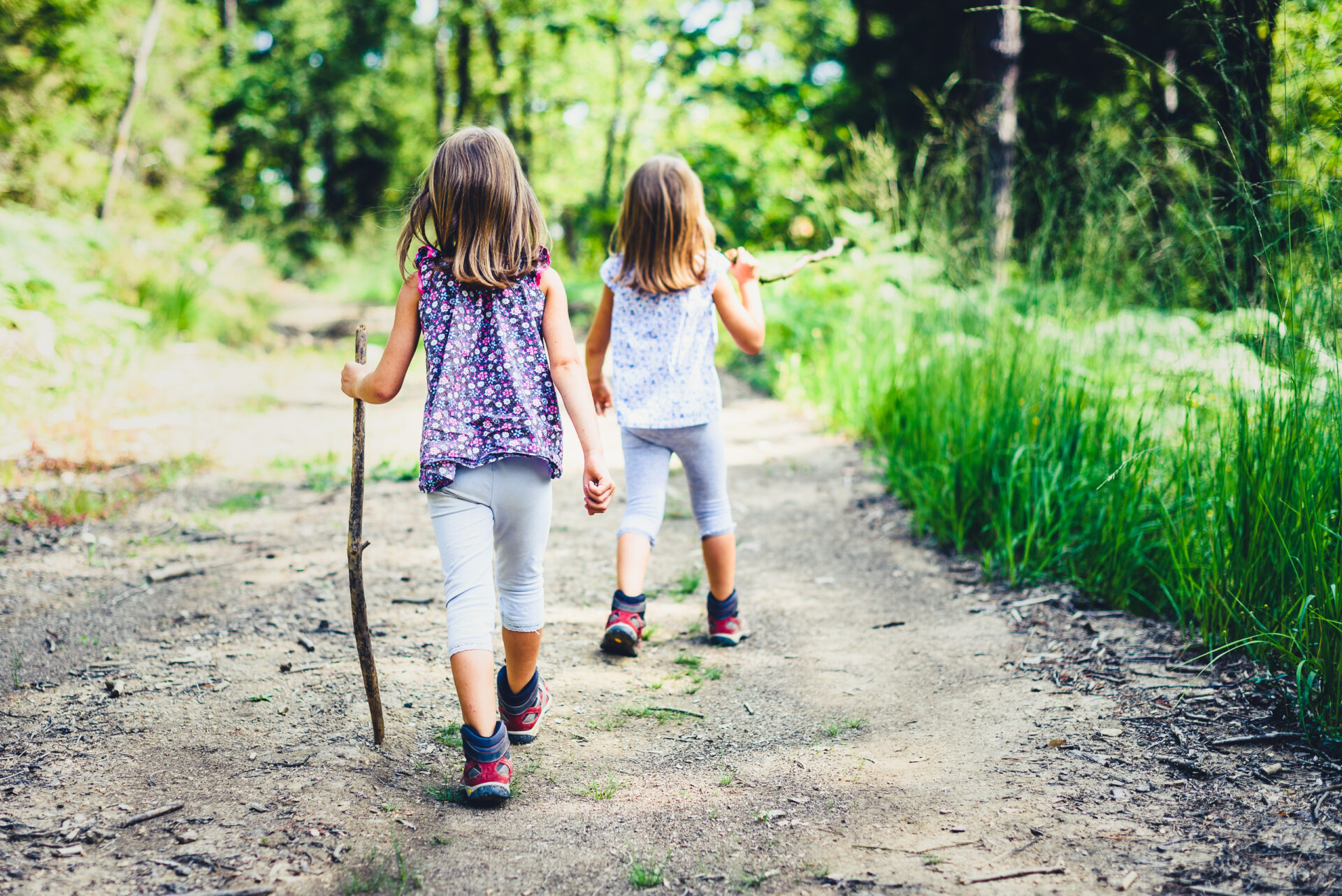 Children - twin girls are hiking in the mountains. Active family, parents and children mountaineering in the nature. Kids are walking in woods with walking sticks.