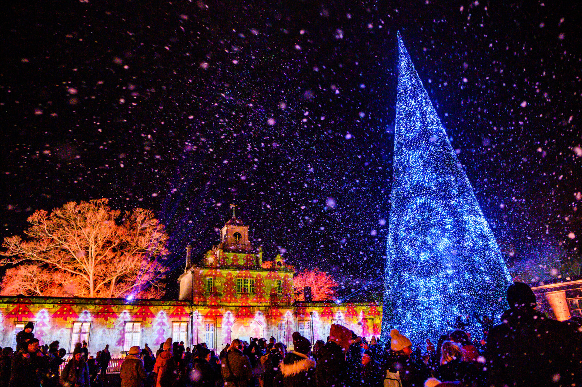 christmas tree with snow at longleat