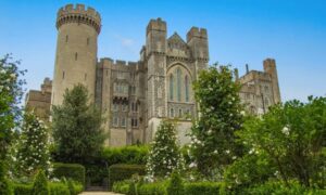 Photograph of Arundel Castle amid greenery