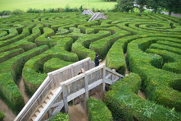 Longleat maze