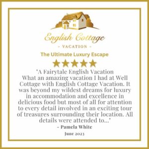 ECV guest review1