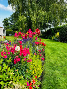 ecv garden flowers