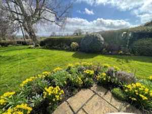 March garden at Well Cottage