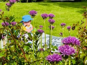 ecv alliums and toddler