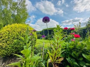 ecv garden flowers2