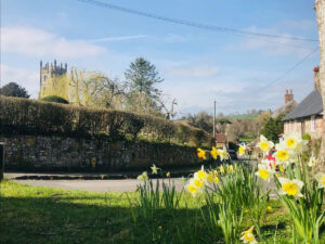 Flowers blooming during Springtime in Dorset