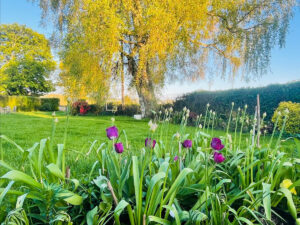 ecv well cottage in spring