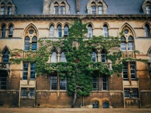 Tree growing into the wall of Christ Church College's building in Oxford.