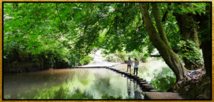 Box Hill & Leith Hill Surrey lake scenery