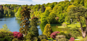 photo of a lake and woods at Stourhead Gardens